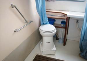 Toilets with support bars